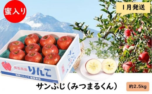 りんご 【 1月発送 】 蜜入り サンふじ （ みつまるくん ）約 2.5kg 糖度13度以上 【 弘前市産 青森りんご 】