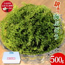 【ふるさと納税】訳あり海ぶどう 500g（茎付き）【うるま市産】沖縄 ふるさと納税 海ぶどう ぷちぷち 大容量 サラダ 海鮮丼