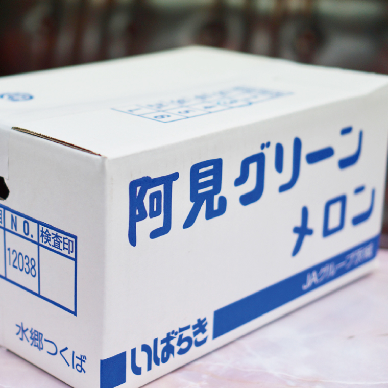 【先行予約】【2025年6月下旬より順次発送】茨城県産阿見グリーンメロン5kg(3玉)【秀品4L】【JA水郷つくば】【フルーツ 果物 くだもの 甘い おいしい メロン 茨城県 阿見町】(20-03)