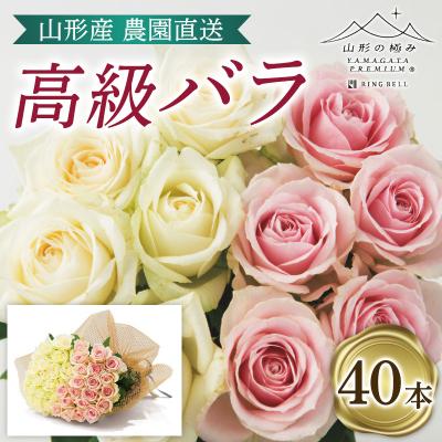 ふるさと納税 山形市 山形産農園直送高級バラ 40本 FZ26-742
