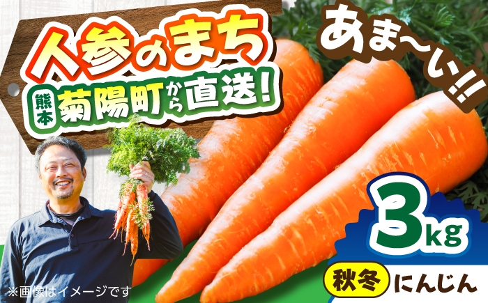 
                  【先行予約】【12月中旬より順次発送】菊陽秋冬にんじん 秀品 約3kg / にんじん 菊陽にんじん 西洋にんじん ニンジン 人参 野菜 熊本 菊陽 【マツモト：ファーム】 [BHDH007]
                