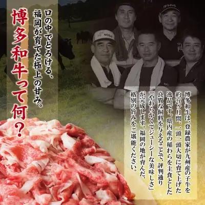 Y61-46 【訳あり】博多和牛 切り落とし1㎏ 牛肉