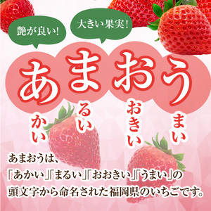 博多あまおう700g＆博多甘熟娘キウイ1.8kgセット（化粧箱）【2025年1月発送開始】 002-021