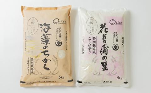特別栽培米10kg(精米/ミルキークイーン・コシヒカリ　各5kg)