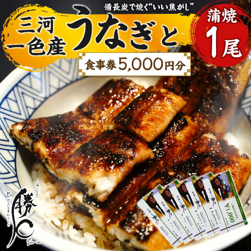 【ふるさと納税】うなぎ 蒲焼 1尾 食事券 5,000円分 備長炭 炭火焼うなぎ 勝〇 しょうわ 三河一色産 タレ 国産 土用 丑の日 冷凍 瞬間冷凍 補助券 チケット 飲食 利用券 うな重 うな丼 焼く いい焦がし 愛知県 碧南市 送料無料