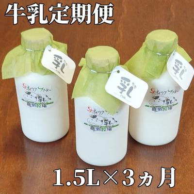 ふるさと納税 紋別市 【定期便3カ月】牛乳定期便 1.5L(500ml×3本)×3回＜オホーツクファームの乳＞