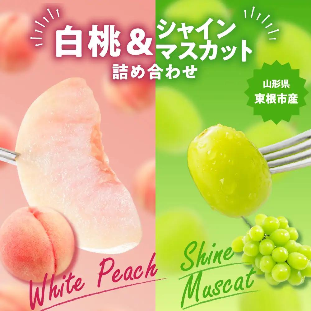 2026年産 白桃 シャインマスカット 詰め合わせ 2kg フルーツ