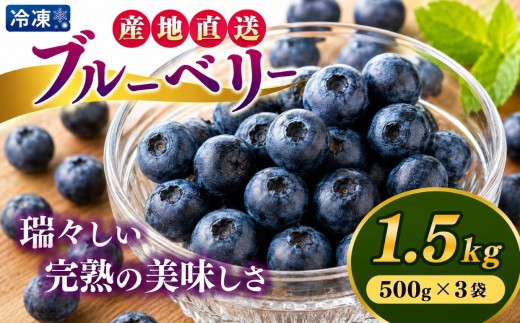 冷凍ブルーベリー 1.5kg（500g×3袋） | 冷凍便 フルーツ 果物 くだもの ベリー 低農薬 健康 産地直送  健康 おやつ 美容 完熟 こだわり | 奈良県 五條市