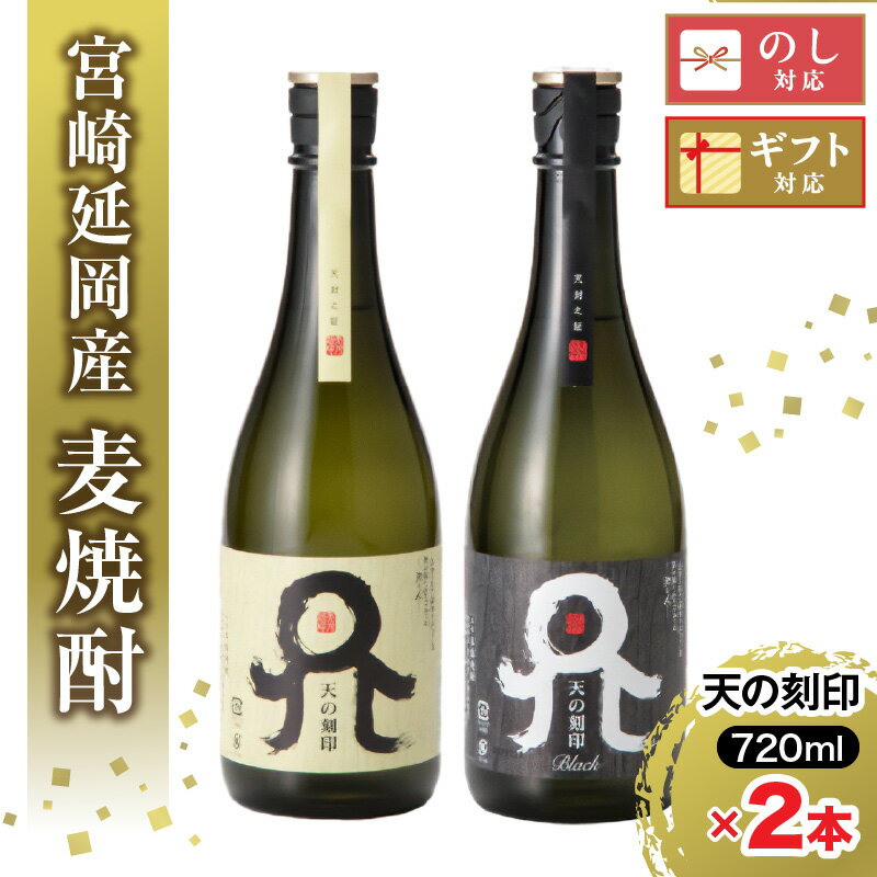 【ふるさと納税】佐藤焼酎　麦焼酎　天の刻印セット　720ml×2本　贈り物　父の日　誕生日　お祝い　贈答用　宮崎県延岡市　送料無料