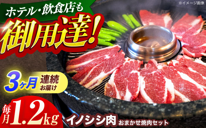 
【3回定期便】ジビエ 天然イノシシ肉 おまかせ焼肉セット 1.2kg （ロース・モモ・バラ）【照本食肉加工所】 [OAJ034] / 猪 猪肉 いのしし肉 イノシシ イノシシ肉 ジビエ いのしし 長崎県猪 川棚町産猪 ぼたん鍋用いのしし 九州産イノシシ じびえ ジビエ ジビエ肉
