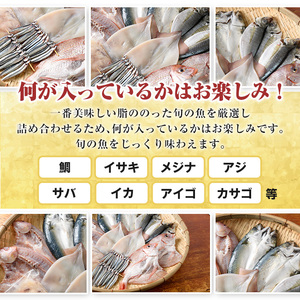 数量限定！阿久根市産の旬の一夜干しグルメ＜A＞セット(鯛・アジ・イカ・サバなど)国産 鮮魚 詰め合わせ お楽しみ 海の幸 魚介類 干物 海鮮【さるがく水産】a-12-205