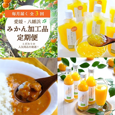 【毎月定期便】おいしい愛媛みかんを使用!こだわりのみかん加工品定期便全3回【G25−153】【4012887】