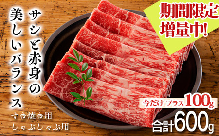 【期間限定】100g増量中! 日本一美味しい「宮崎牛スライス」（600g）