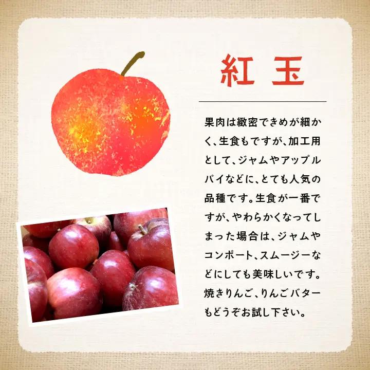 《2026年10月中旬以降順次発送》羽山のりんご 紅玉 5kg【羽山果樹組合】
