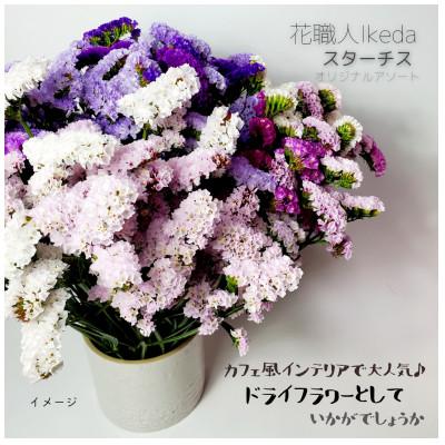 ふるさと納税 印南町 生花【スターチス】花職人Ikedaオリジナル詰め合わせ