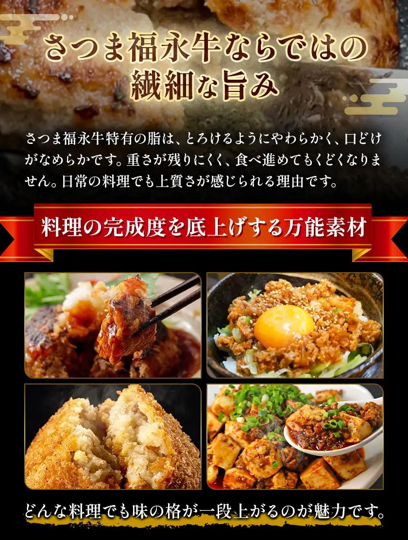 さつま福永牛 ミンチ肉 粗挽き 250g×2パック 福永畜産《30日以内に出荷予定(土日祝除く)》 鹿児島県 さつま町 和牛 福永牛 ミンチ 粗挽き 肉 国産