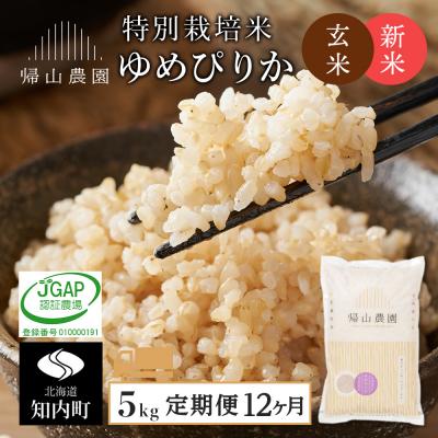 ふるさと納税 知内町 【令和7年産新米予約】【12カ月定期便】特別栽培米産地直送「玄米ゆめぴりか 5kg」《帰山農園》