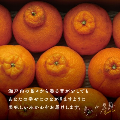 【島のね農園】プレミアム不知火 島のねデコ(4kg)【KB01590】