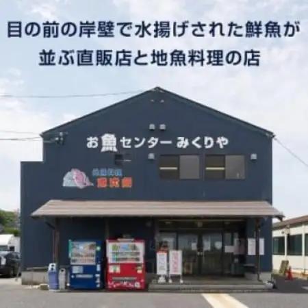 【11月中旬以降順次発送】訳あり足1本折れボイル松葉ガニ(600～700gを1枚)　OM-31【配送不可地域：離島・北海道・沖縄県・東北・信越、北陸】【1745696】