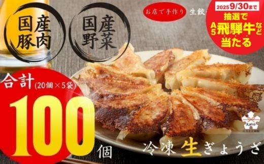 生餃子専門店 新家の生餃子 元気がモリモリ100個セット