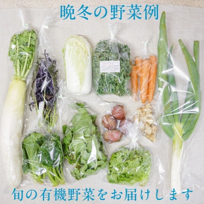 【毎月定期便】しあわせ野菜畑の有機野菜　Mセット　(安心の有機JAS認証　オーガニック野菜)全12回【配送不可地域：離島・北海道・沖縄県・四国・九州】