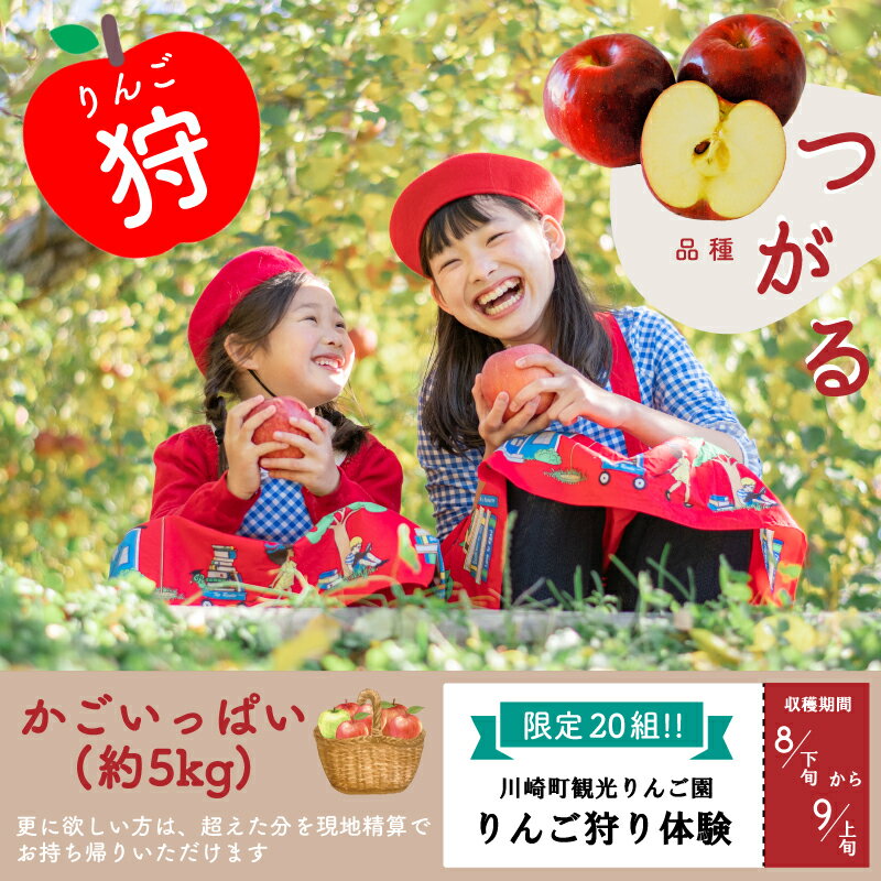 【ふるさと納税】 限定20口 りんご狩り チケット りんご サンつがる つがる 林檎 リンゴ 果物 体験型 果物狩り フルーツ狩り 林檎狩り リンゴ狩り 福岡県 川崎町 人気 おすすめ