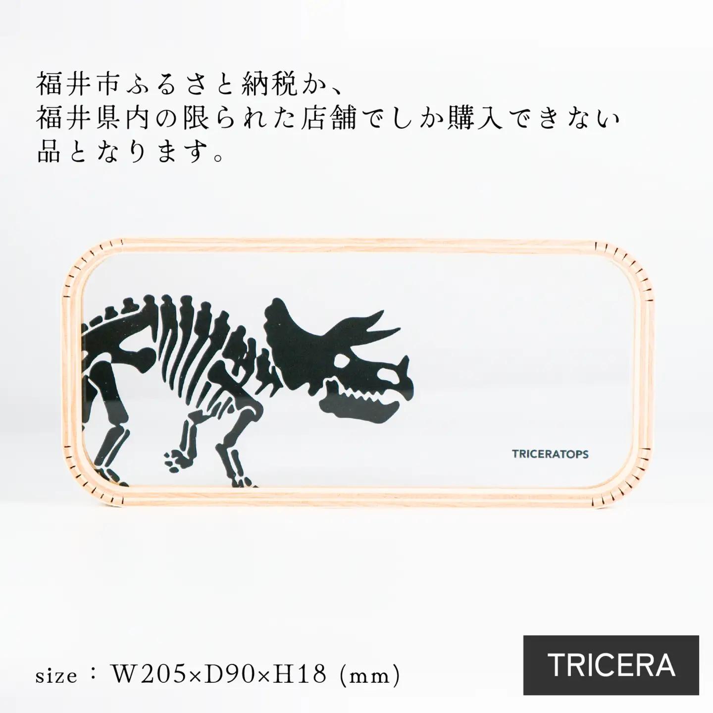 MOHEIM PEN TRAY (TRICERA) [A-053011_02]