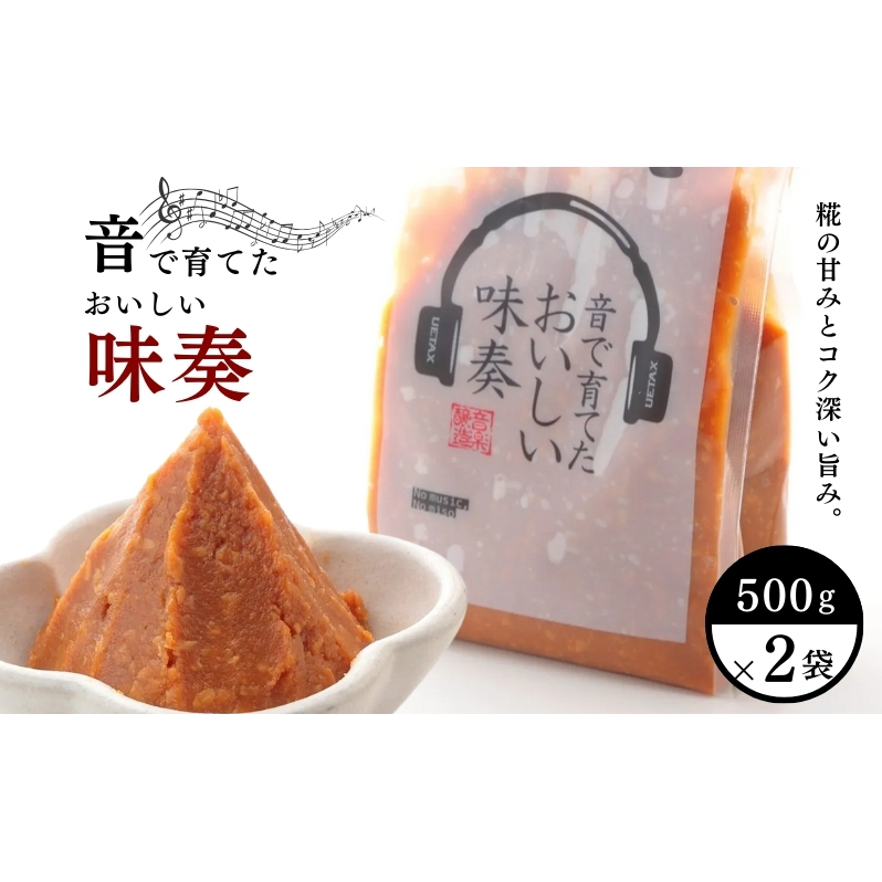 【世界初！音楽熟成味噌】音で育てたおいしい味奏（みそう） 500g×2袋 味噌 みそ 調味料 発酵 食品 新潟県 上越市 山本味噌