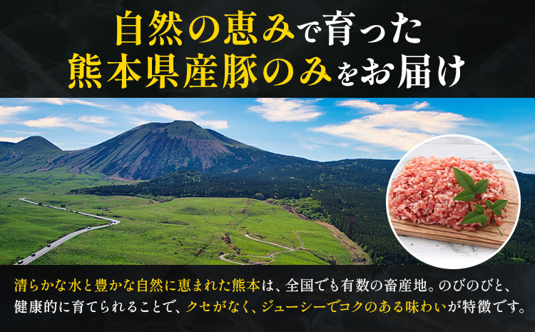 熊本県産 豚肉ミンチ 約3kg 九州産 鶏ミンチ 約2kg 計約5kg 植田商事有限会社 《90日以内に出荷予定(土日祝除く)》 熊本県 菊池市 ミンチ 豚肉 鶏肉 ハーブ鶏 お肉 熊本県産 九州産 