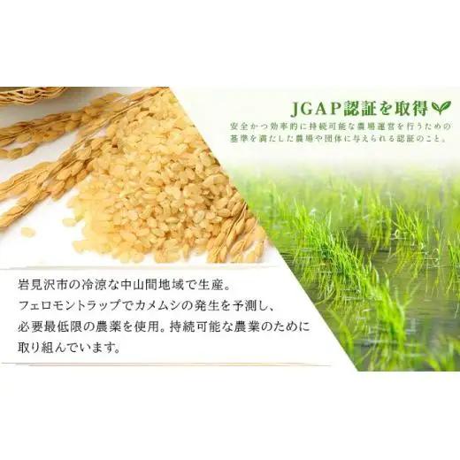 【玄米】《令和 7 年産》お米 ゆめぴりか玄米 5kg｜米 北 海道 岩見沢市 ファーム坂口の特別栽培米