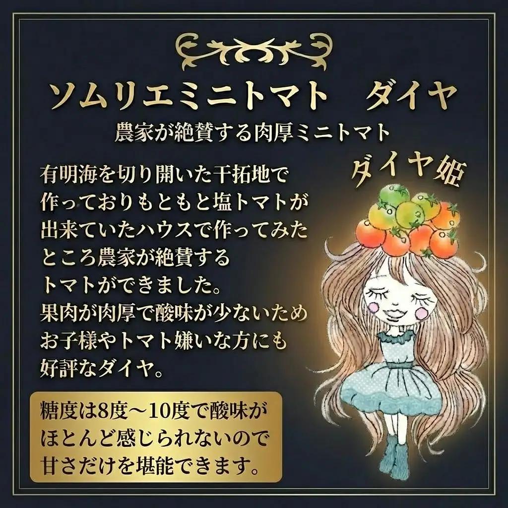 ミニトマト・ダイヤ 1kg｜レッドアップ ※置き配でお届け