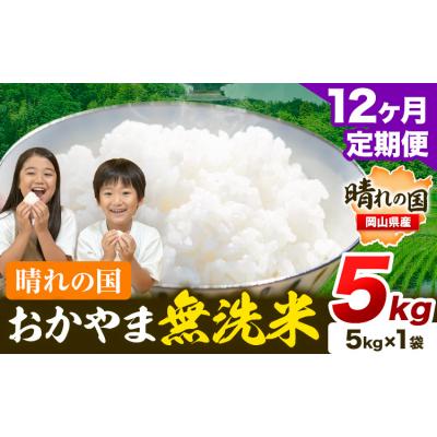 ふるさと納税 笠岡市 12ヶ月定期便 おかやま無洗米 5kg 米《お申し込み月の翌月から出荷開始》岡山県 笠岡市 無洗米