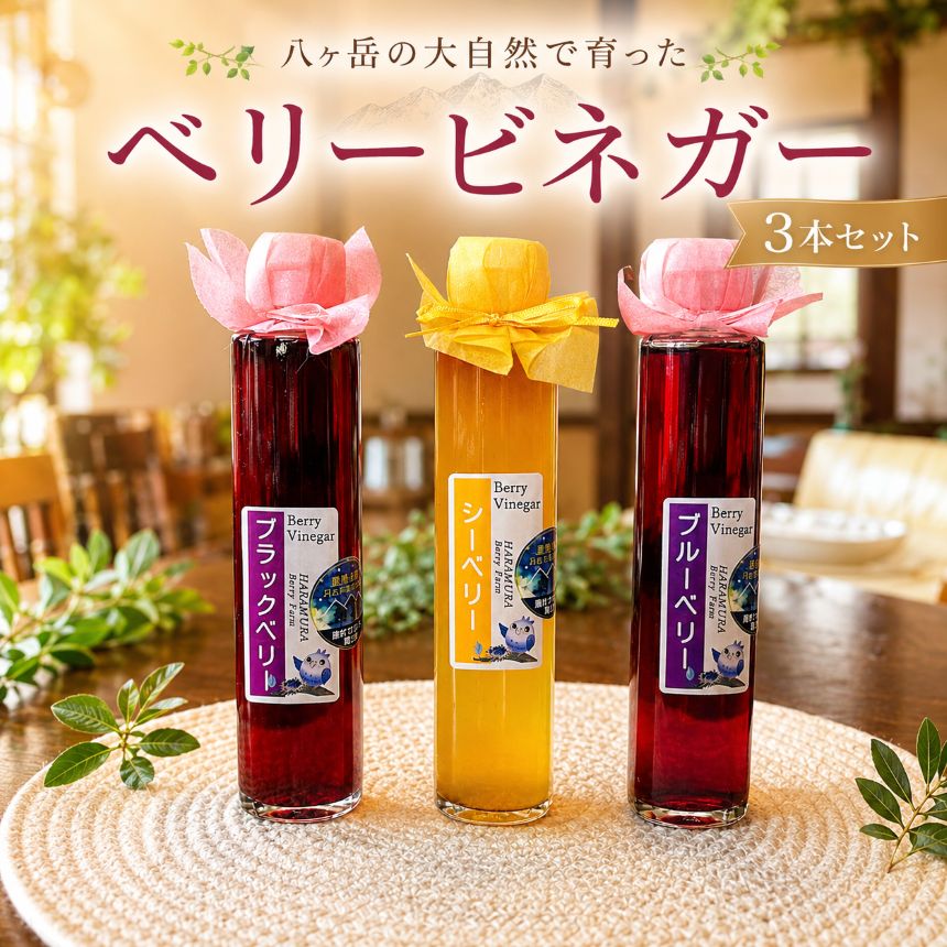 【ふるさと納税】 八ヶ岳の大自然で育った ベリービネガー 3本セット ( ブラックベリー , シーベリー , ブルーベリー )| りんご酢 ビネガー ベリー 安心 体に優しい さわやか 信州 八ヶ岳 長野県 諏訪郡 原村