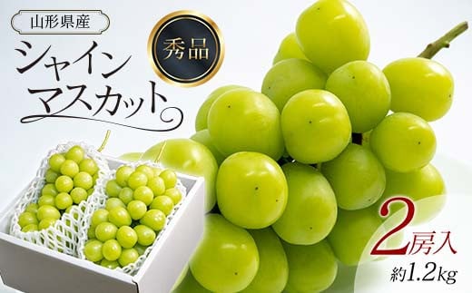 【先行予約 2025年度発送】シャインマスカット 2房入 約1.2kg  マスカット ぶどう ブドウ 葡萄 デザート フルーツ 果物 くだもの 果実 食品 山形県 FSY-0737