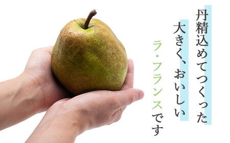 【令和6年産】ラ・フランス 5Lサイズ以上 約4kg　山形県鶴岡市産 （2024年11月中旬頃～発送） 洋梨 長南農園