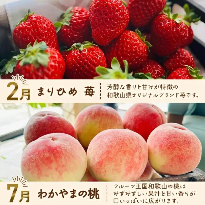 フルーツ定期便【L】 全4回 みかん ミカン 有田みかん まりひめ いちご イチゴ 桃 もも 柿 フルーツ 果物 くだもの 柑橘 果物定期便 ※北海道・沖縄・離島への配送不可【ard-tkb911】