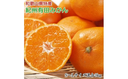 
                  【2026年先行予約】【厳選】和歌山 有田みかん 3kg (S～Lサイズ混合・秀品)_ZD7017
                
