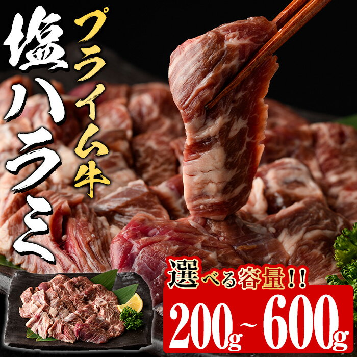 【ふるさと納税】＜内容量が選べる＞ プライム牛 塩ハラミ(計200g・計400g・600g) 小分け 牛肉 肉 ハラミ 牛はらみ 味付け 焼肉 塩 BBQ 冷凍 大分県 佐伯市【DH294・DH295・DH296】【(株)ネクサ】