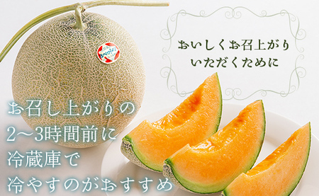＜2025年発送先行受付＞ほべつメロン2玉(約1.6kg×2玉)＜むかわ町穂別特産品＞ 【 ふるさと納税 人気 おすすめ ランキング ほべつメロン メロン 赤肉 赤肉メロン ルピアレッド 贈答 高級 