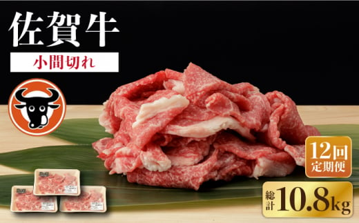 【12回定期便】 佐賀牛 切り落とし (小間切) 900g (300g×3P) 【一ノ瀬畜産】 [NAC139] 佐賀和牛 牛肉 切り落とし 佐賀和牛 牛肉 切り落とし