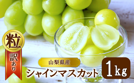 【2026年発送】シャインマスカット 訳あり家庭用 粒 にてお届け 約1kg