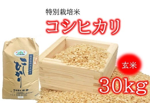 
            （新米）コシヒカリ（特別栽培米）玄米 30㎏【002115】
          