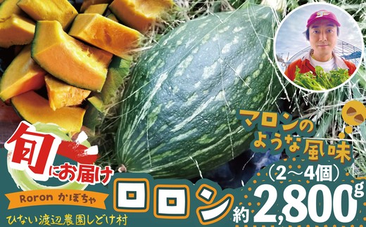 カボチャ 旨味がトロけるロロンで幸せな一時を 約2800g　50P3260 / 東北 秋田 大館 野菜 新鮮 農産物 農家 かぼちゃ カボチャ ロロン ろろん 農家直送 シチュー プリン