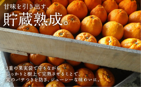 ≪先行予約≫ 完熟しらぬい『甘熟デコ』厳選プレミアム　黒の化粧箱（大）2kg 柑橘柑橘柑橘柑橘柑橘柑橘