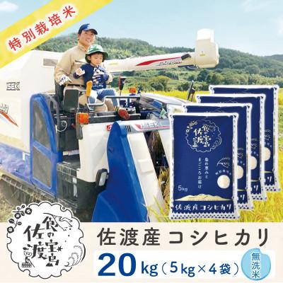 ふるさと納税 佐渡市 佐渡島産コシヒカリ 無洗米20Kg(5Kg×4袋) 令和7年産 特別栽培米 農家直送