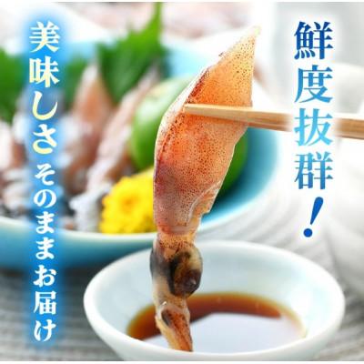 ふるさと納税 越前町 【毎月定期便】ホタルイカ(刺身・しゃぶしゃぶ用)　21尾入 × 3パック 合計約420g全3回 |  | 01
