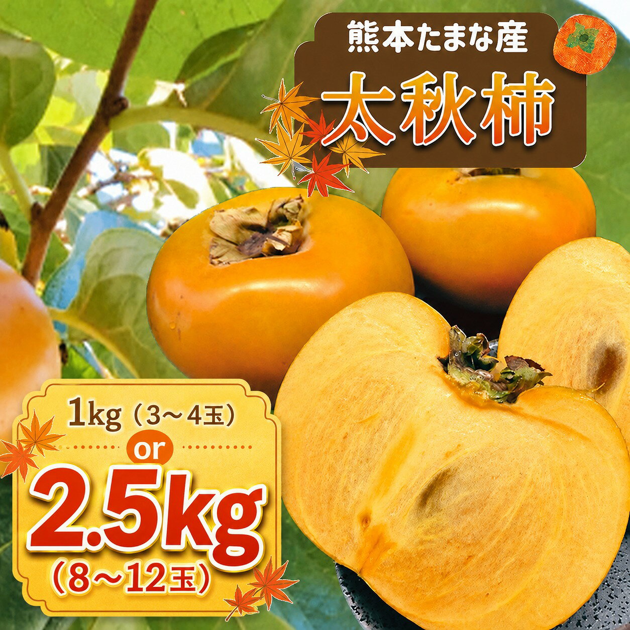 【ふるさと納税】 柿 太秋柿 約1kg or 約2.5kg | 果物 くだもの フルーツ 秋 旬 送料無料 熊本 玉名 産地直送 生産者直送