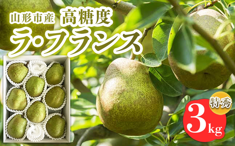 
                  山形市産【高糖度ラフランス】特秀品 3kg (6～10玉) 極上フルーツ  洋梨 山形【令和8年産先行予約】FS24-821
                