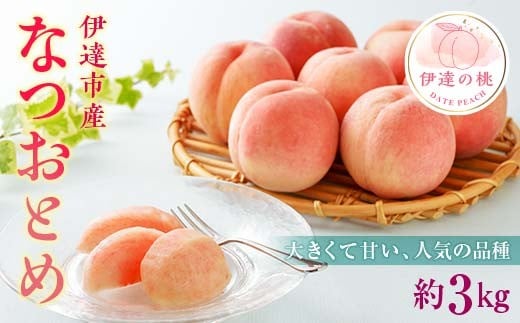 
            福島県産 なつおとめ 3kg 新品種 2025年8月上旬～2025年8月中旬発送 2025年出荷分 先行予約 予約 大玉 伊達の桃 桃 もも モモ 果物 くだもの フルーツ 国産 食品 F20C-349
          