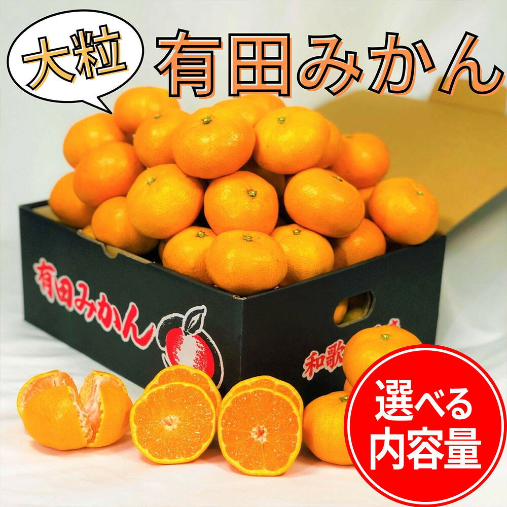 【ふるさと納税】【選べる内容量】 大粒有田みかん 1～10kg | みかん 蜜柑 フルーツ 果物 くだもの 食品 人気 おすすめ 送料無料
